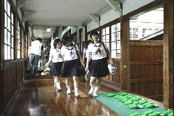 廊下と女生徒.gif
